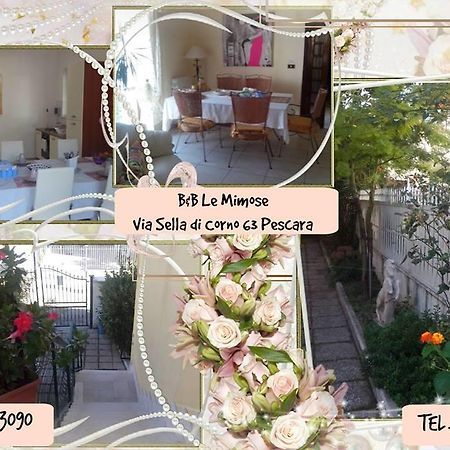 Bed and Breakfast Le Mimose à Pescara Extérieur photo